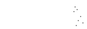 Professional Leads Logo